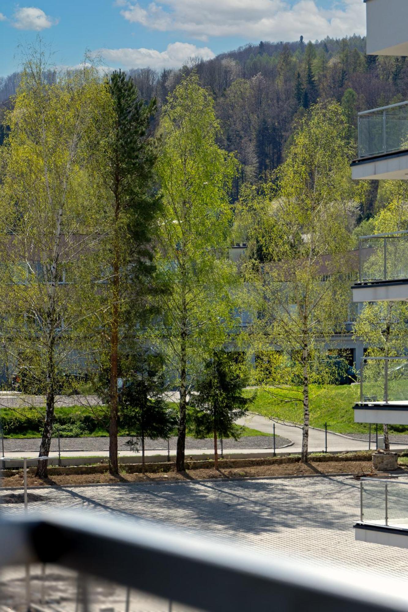 Szyndzielnia Hill Apartament # Nestapartamenty Бельсько-Бяла Екстер'єр фото